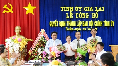 Ban Nội chính Tỉnh ủy Gia Lai dấu ấn 10 năm | Báo Gia Lai điện tử
