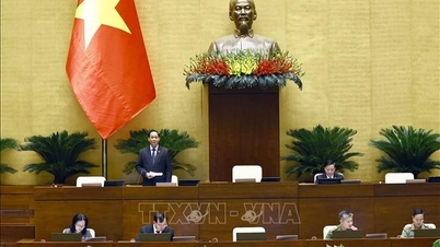 Thông cáo báo chí số 11 Kỳ họp thứ 8, Quốc hội khóa XV