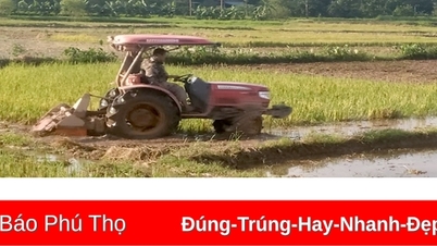 សម្រាប់ការផលិតដំណាំជោគជ័យ