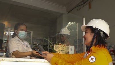 តើ​នៅ​ពេល​ណា​វៀតណាម​មាន​អ្នក​លក់​អគ្គិសនី​ច្រើន?