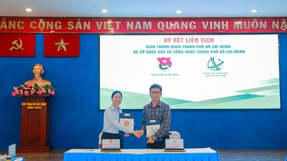 ការបំផុសគំនិតច្នៃប្រឌិត និងការស្រាវជ្រាវវិទ្យាសាស្ត្រក្នុងយុវវ័យ