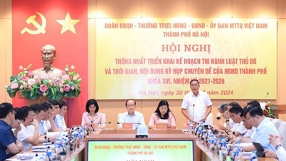 ស្នើ​កិច្ចការ​ចំនួន​៥ ដើម្បី​យក​ច្បាប់​រាជធានី​ឆ្នាំ​២០២៤ ចូល​ជា​ធរមាន
