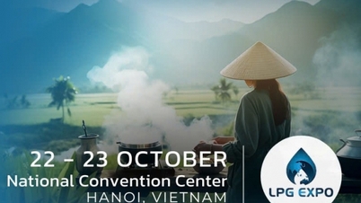 Global Cooperation Opportunities in the LPG Industry