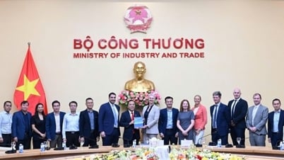 ថាមពលខ្យល់នៅឈូងសមុទ្រនឹងមានគោលនយោបាយជាក់លាក់ក្នុងពេលឆាប់ៗនេះដើម្បីបង្កើតការងារថ្មីចំនួន 55,000