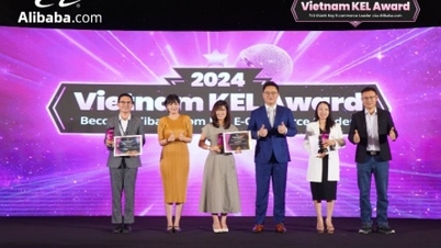 Vietnamese businesses accelerate exports thanks to listing on Alibaba.com