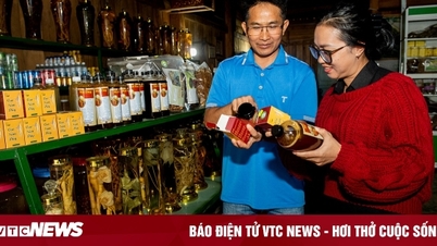 Phát triển hợp tác xã ở huyện nghèo Tu Mơ Rông, Kon Tum