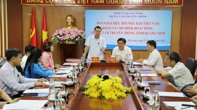 សមាគមអ្នកសារព័ត៌មានវៀតណាម ស្ទាបស្ទង់មើលគំរូប្រតិបត្តិការនៅមជ្ឈមណ្ឌលសារព័ត៌មានខេត្ត Quang Ninh