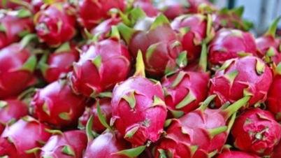 Bán gần 1 triệu tấn gạo; đẩy mạnh xuất khẩu rau quả