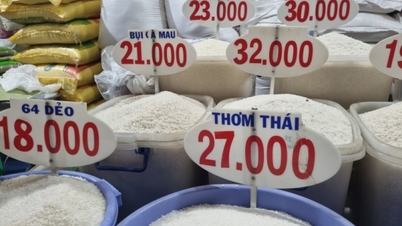 Factors that help rice exporters be optimistic about prices in the first half of 2024
