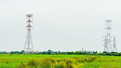 Đầu tư gần 730 tỷ đồng xây dựng trạm biến áp 220kV và đường dây tại Nam Định