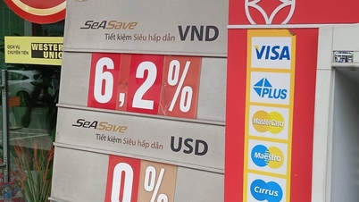 銀行の6％以上の預金金利が突然「低下」