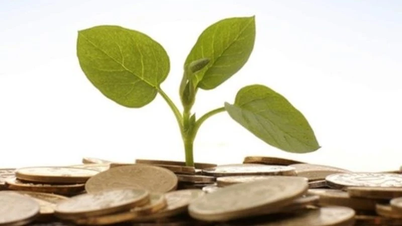 Companies finalize dividend payments, week from November 18 to 22