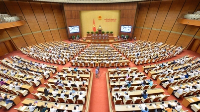 Press Release No. 09 5th Session, 15th National Assembly