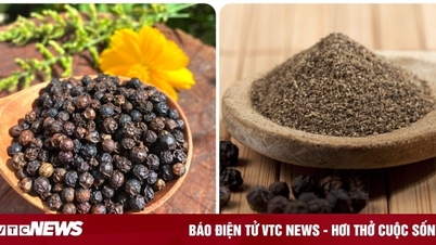 Rắc hạt tiêu vào món ăn có tác dụng gì?