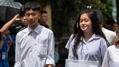 សាកលវិទ្យាល័យវេជ្ជសាស្ត្រ និងឱសថសាស្ត្រ Hai Phong៖ ឱសថទទួលបានពិន្ទុខ្ពស់បំផុត