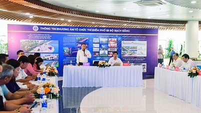 ដាណាង៖ អំពី​ការ​សាកល្បង​ផ្លូវ​ដើរ Bach Dang