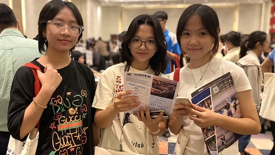 How does the decline in SAT scores in the US affect Vietnamese students?