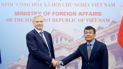 ロシアはベトナムを信頼できるパートナーとみなしており、実質的な関係を築くことを望んでいる。