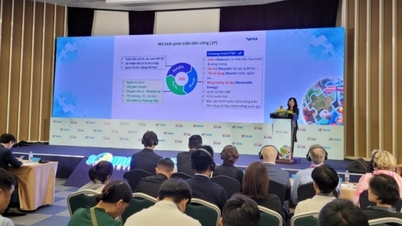 Solutions to bring Vietnamese fashion, furniture and household goods into foreign distribution systems