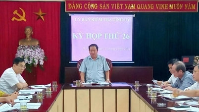 Kỷ luật Chủ tịch, nguyên Chủ tịch Hội Liên hiệp Phụ nữ tỉnh Hải Dương