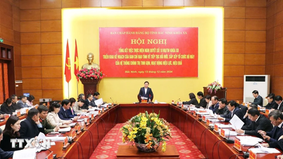 Bac Ninh រំលាយ បញ្ចូលគ្នា និងកាត់បន្ថយ 293 ភ្នាក់ងារ អង្គការ និងអង្គភាព