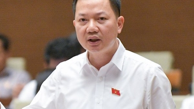 “Thao túng trong thị trường bất động sản rất tinh vi”