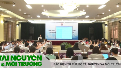 Tập huấn công tác đấu thầu, thanh quyết toán hoạt động phòng, chống tác hại của thuốc lá