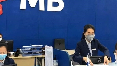 Đầu tư SCIC muốn thoái sạch vốn tại MB