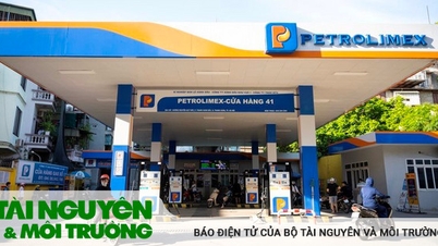 Giá xăng trong nước giữ nguyên, giá dầu tăng giảm nhẹ