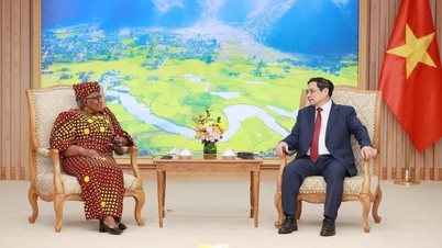 នាយករដ្ឋមន្ត្រី Pham Minh Chinh ទទួលជួបអគ្គនាយកអង្គការពាណិជ្ជកម្មពិភពលោក