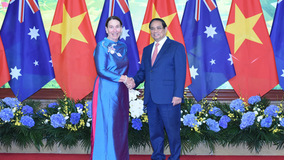 Thủ tướng Phạm Minh Chính hội kiến Chủ tịch Thượng viện Australia Sue Lines