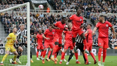 Newcastle chạm một tay vào vé dự Champions League