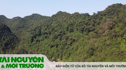 Forest protection experience of Tay people in Lang Son
