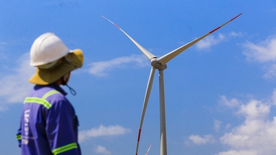 Deputy Prime Minister requests to remove difficulties for renewable energy transition projects