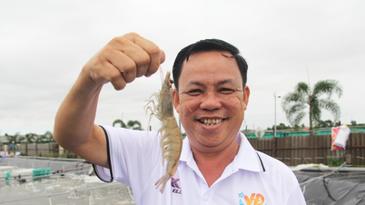 Lao De Tra Vinh រកបាន 140 ពាន់លាន Ba Sam នៅ Ben Tre រកបាន 50 ពាន់លាន