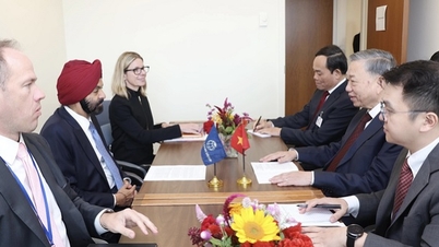 World Bank will prioritize allocating large capital resources to Vietnam