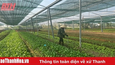 ការកសាងខ្សែសង្វាក់ផ្គត់ផ្គង់កសិកម្មប្រកបដោយសុវត្ថិភាពនៅតែប្រឈមនឹងការលំបាកជាច្រើន។