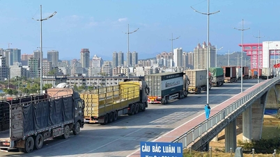 Quang Ninh promotes trade from border gates adjacent to China