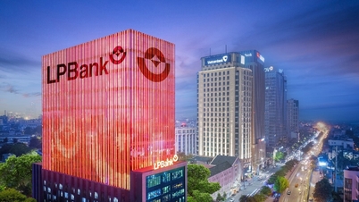 LPBank plans to add two veterans to the Board of Directors