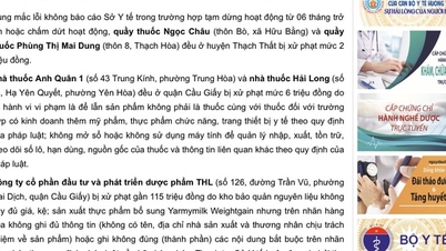 កន្លែងព្យាបាល និងឱសថចំនួន៦ ត្រូវបានពិន័យជាប្រាក់ជាង ៣២០លានដុង