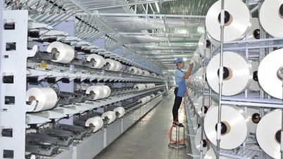 Lợi nhuận Quý 1 giảm 98%, Sợi Thế Kỷ (STK) đang phải tăng cường vay nợ