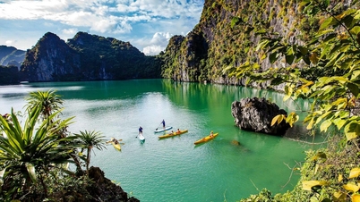 'នឹងមិនមានក្រុមប្រឹក្សាគ្រប់គ្រងរួមគ្នា' សម្រាប់ស្មុគស្មាញ Ha Long - Cat Ba