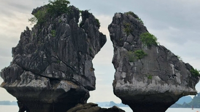 Chuyên gia nói gì về nguy cơ sạt lở hòn Trống Mái trên vịnh Hạ Long?