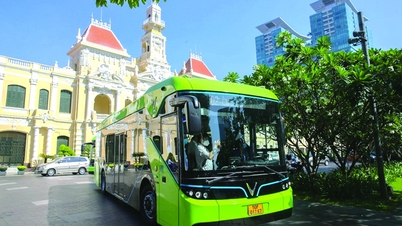 Cần tăng cường đầu tư cho giao thông xanh