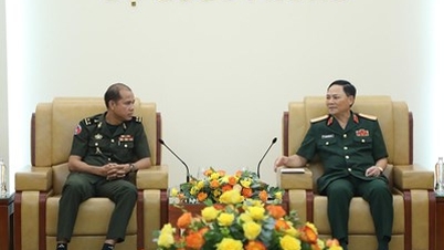 នាយឧត្តមសេនីយ៍ Pham Truong Son បានទទួលជួបគណៈប្រតិភូនាយកដ្ឋានប្រតិបត្តិការ អគ្គបញ្ជាការនៃកងយោធពលខេមរភូមិន្ទ។