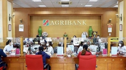 Agribank se convierte en el "subcampeón" en beneficios del sector bancario después de 9 meses