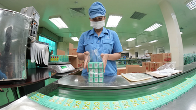 Ho Chi Minh City implements interest rate support for loans to projects in priority areas