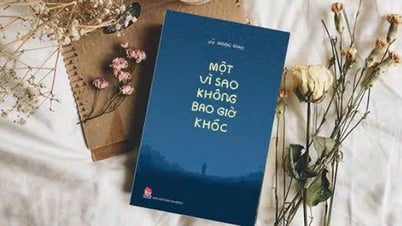 មានផ្កាយនៃកុមារភាព