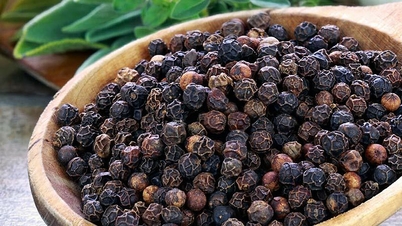 Giá tiêu xuất khẩu lao dốc