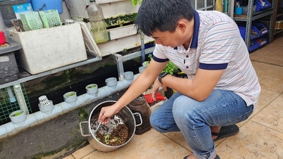 ពី​ការ​រាយការណ៍​ទៅ​វួដ​រហូត​ក្លាយ​ជា​កន្លែង​សម្រាម​សម្រាប់​អ្នក​ជិត​ខាង